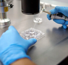 Künstliche Befruchtung